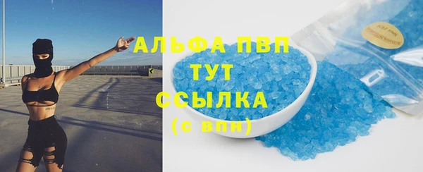 прущие грибы Каменка
