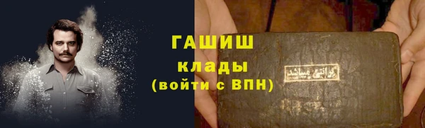 прущие грибы Каменка