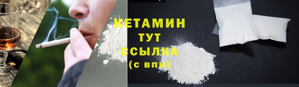 прущие грибы Каменка